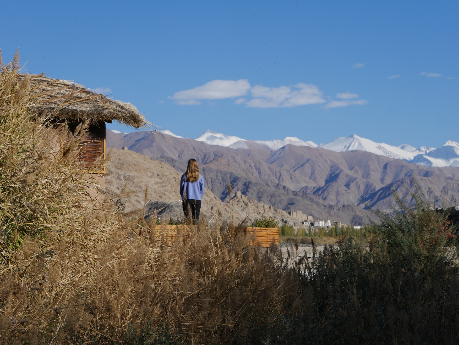 View of Shey From The Yoga and Lunch Room